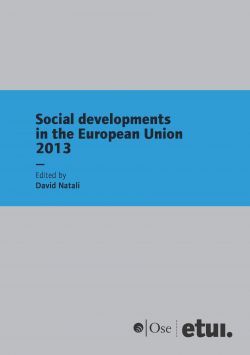 Social developments in the European Union 2013